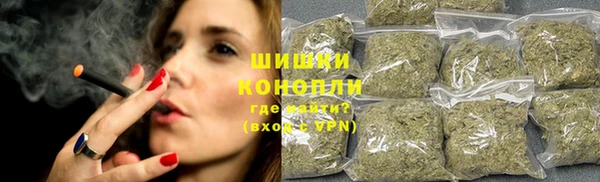индика Магадан