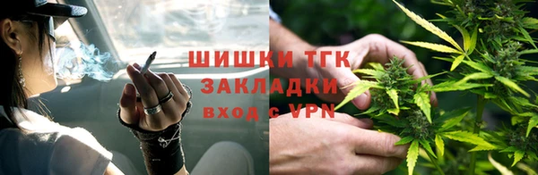 ECSTASY Магас