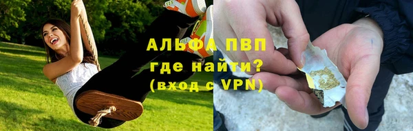 стафф Медногорск