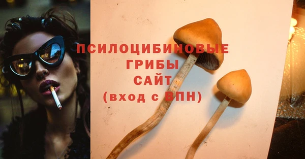 стафф Медногорск