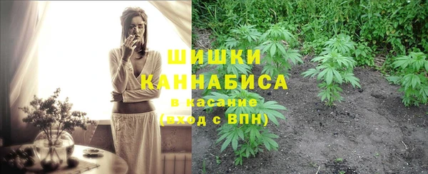 стафф Медногорск