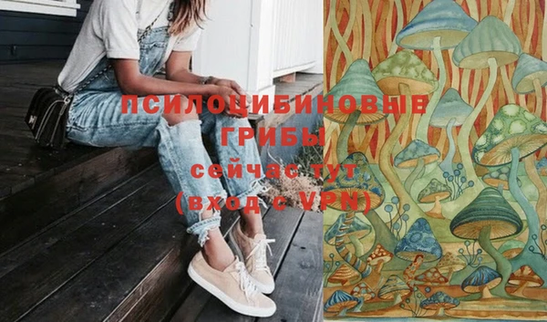 СК Мегион