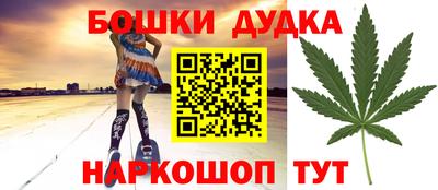 индика Дубна