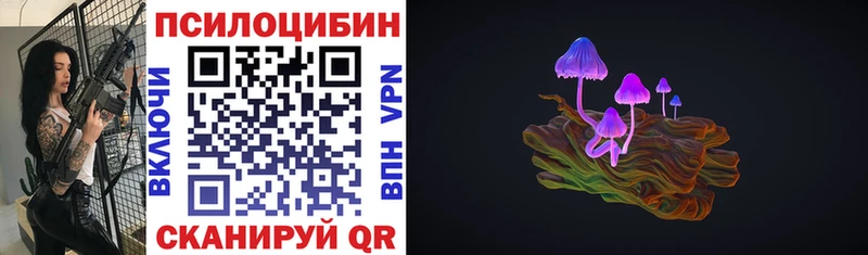 Псилоцибиновые грибы Psilocybine cubensis  Сочи 