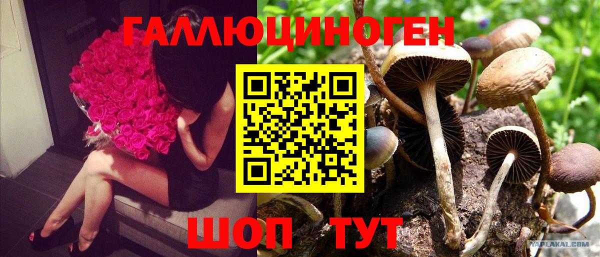 Псилоцибиновые грибы MAGIC MUSHROOMS Сочи