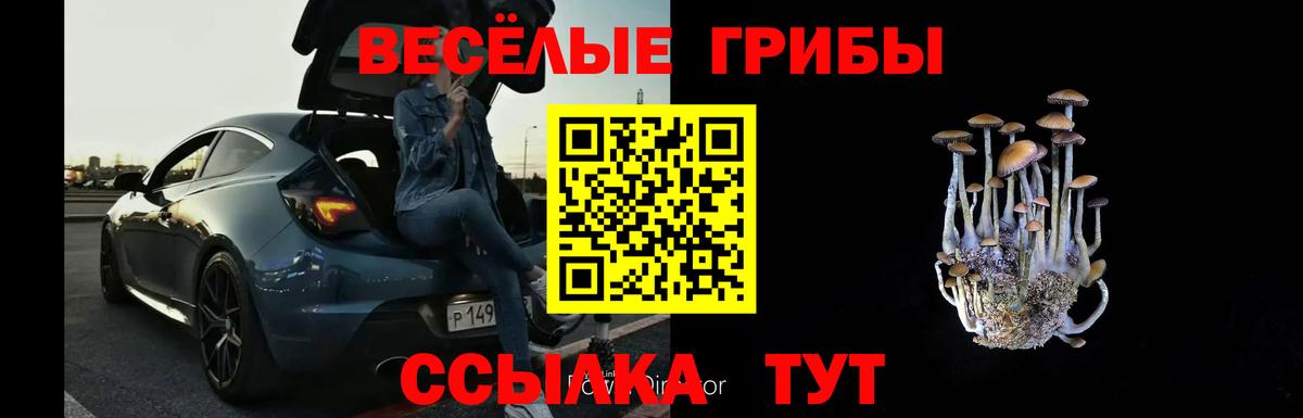 Сочи  Галлюциногенные грибы Cubensis  Вход с VPN 